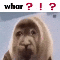 nikotoba confused upset niko distraught GIF