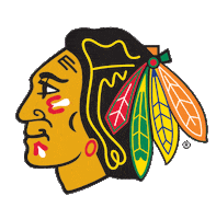 National Hockey League Logo Sticker by NHLBlackhawks