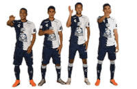 Liga Mx Cf Pachuca Sticker by Club Pachuca Tuzos