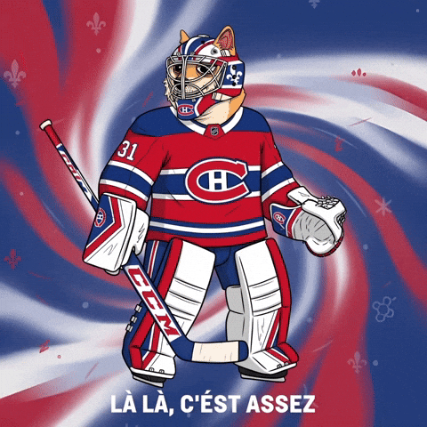 Frustrated Shiba Inu GIF by Doge Pound