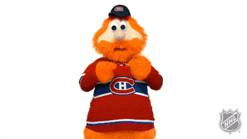 Ice Hockey Sport GIF by NHL