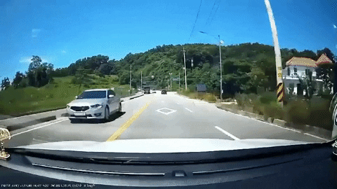 insights___ giphyupload GIF