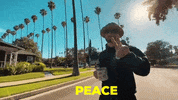 Cant Hear You Palm Trees GIF by Alec King