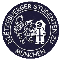 LSMuenchen lsm acel Sticker