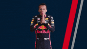 Red Bull F1 GIF by Red Bull Racing