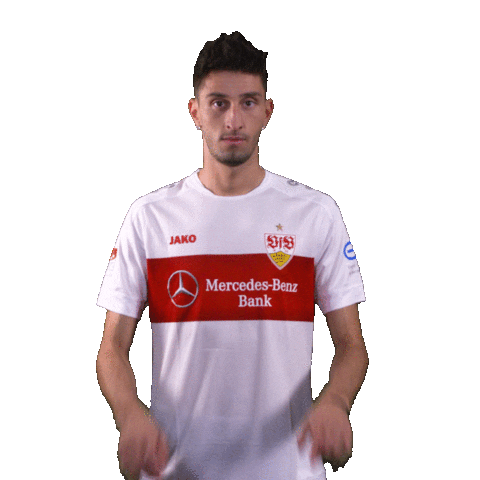Var Video Assistant Referee Sticker by VfB Stuttgart