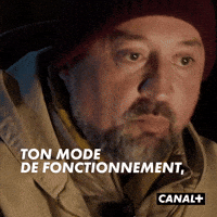 Irl Village GIF by CANAL+