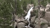 colorado GIF
