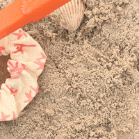 CatharinaS catharinas scrunchie rake corals GIF