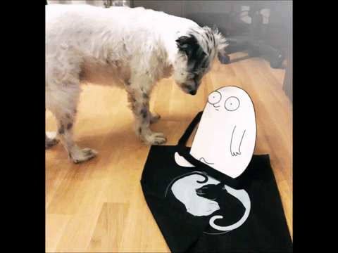 dog GIF