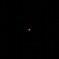 Den Bosch Hockey GIF by Eyecons Official