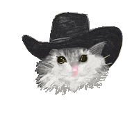 Sad Cat Sticker by Jess