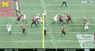 Michigan Football Touchdown GIF by Michigan Athletics