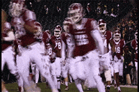 Temple Football GIF by Temple Owls