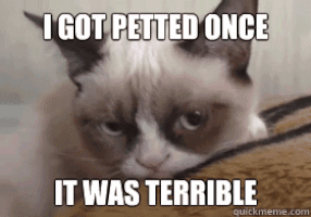 better than i know myself GIF