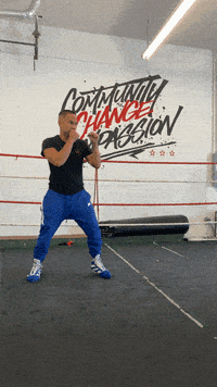 quinitboxing  GIF