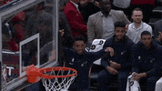 GIF by NBA