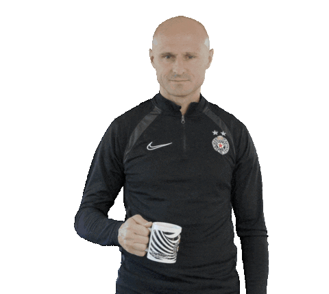 Partizan Sticker by sportmts