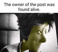 Best Video Peak GIF