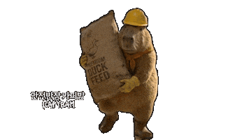 Carrying Hard Carry Sticker