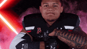 University Of Cincinnati Uc GIF by Cincinnati Bearcats