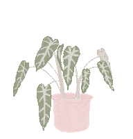 Plant Sticker by Bee mine