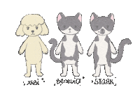 icecreamninja cat dog maltese shih tzu Sticker