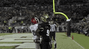 Eagles Ak GIF by UCF Knights