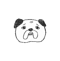 Dog Pug Sticker