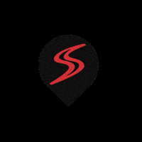 Racing Race GIF by DriftShop