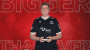 Karlsruher Sc Vbl GIF by Bundesliga
