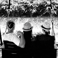 FemBR art digital arts digitalart GIF