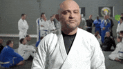 blackhelmet jiujitsu jiu jitsu hojetem mauricio melo GIF