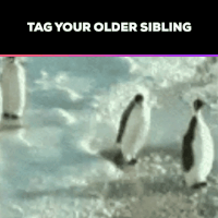 GIF by Suze Perlov 
