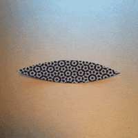 fer GIF by Liaizon Wakest