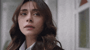 Dizi Sıla GIF by Show TV