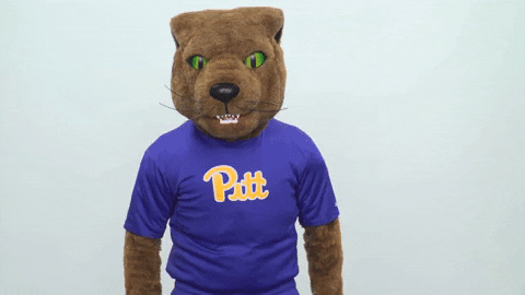 happy college sports GIF by Pitt Panthers