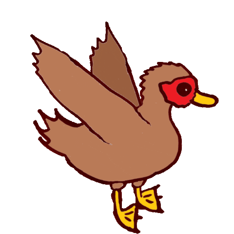 Duck Waterfowl Sticker