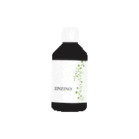 Omega 3 Vegan Sticker by Zinzino