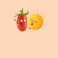 Tomato Sauce Cooking GIF by Barilla