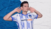 Jurgen Ekkelenkamp Football GIF by Hertha BSC