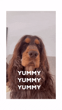 Cute Puppy GIF