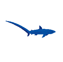 Deep Sea Swimming Sticker by Monterey Bay Aquarium