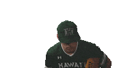 College Baseball Mlb Sticker by Hawaii Athletics