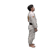 Bjj Jiujitsu Sticker by ghbrownsville