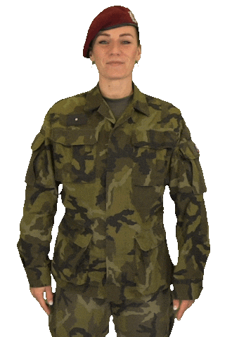 armadaceskerepubliky giphyupload army blessed czech Sticker
