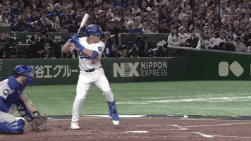 Home Run Sport GIF by MLB