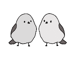 Happy Love Birds Sticker