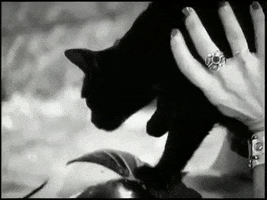sonic youth 90s GIF