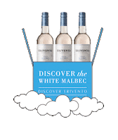 Discover White Wine Sticker by Trivento Wines